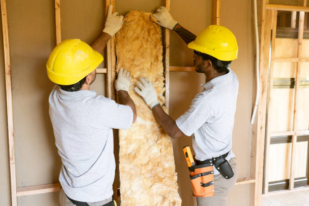 Best Local Insulation Services  in Pierre Part, LA