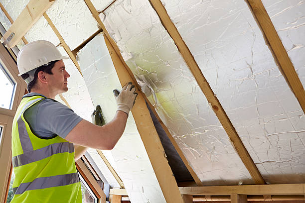 Best Insulation Inspection Services  in Pierre Part, LA